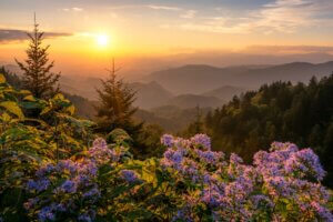 summer sunset in smokies