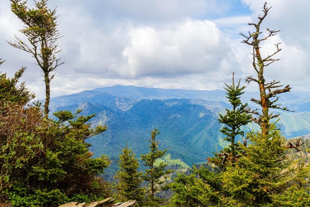 Your Guide to Choosing Which Season to Go Camping in the Smoky Mountains