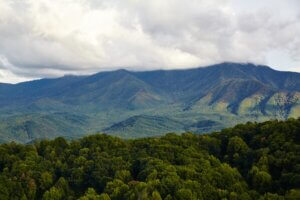 smoky mountain views